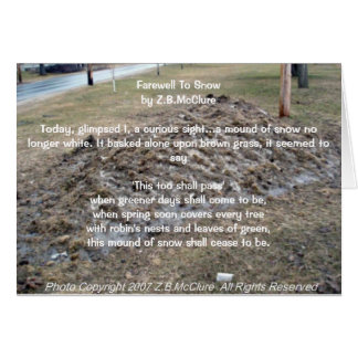 Cartão o poema do snowbird