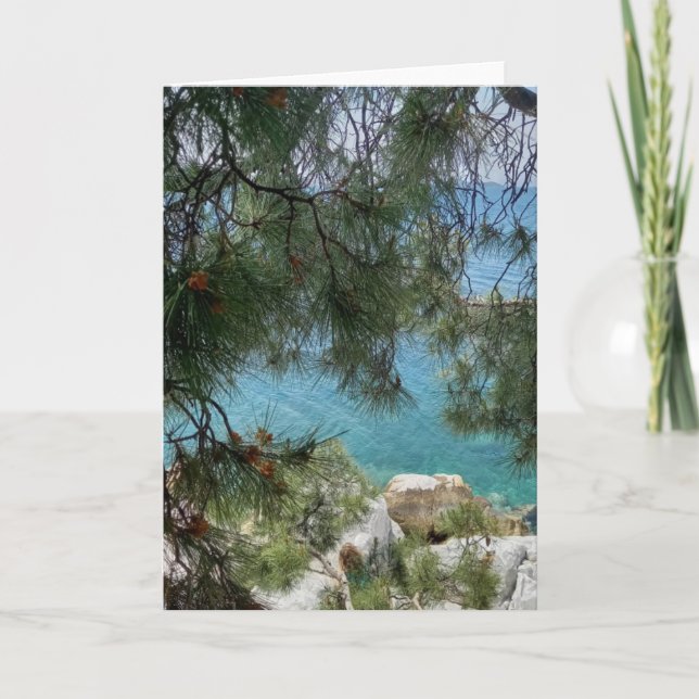 Cartão O porto de Skiathos Port. Em branco. (Frente)