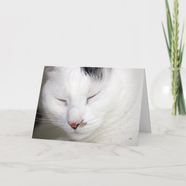 Cartão O precioso 2, obtem bem logo (Frente)