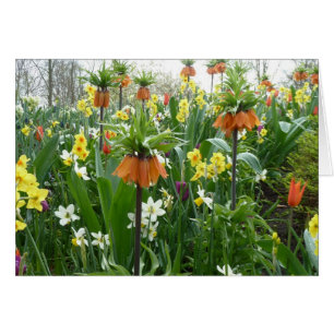 Cartão O primavera floresce o divertimento - amarelo e