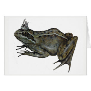 Cartão O príncipe do sapo