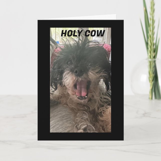 CARTÃO O PUP É BAFFLED-HOW VOCÊ TORNOU "60" (Frente)