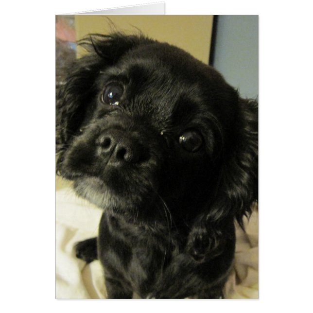 Cartão O quê? (Frente)