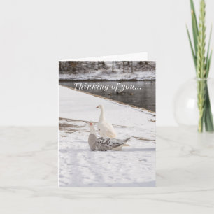 Cartão O que é ganso