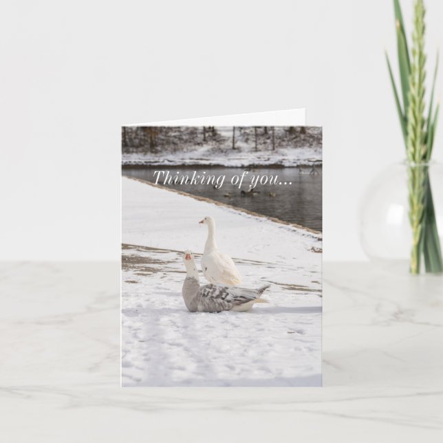 Cartão O que é ganso (Frente)