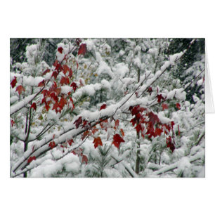 Cartão O que é vermelho, branco e neve por toda parte?