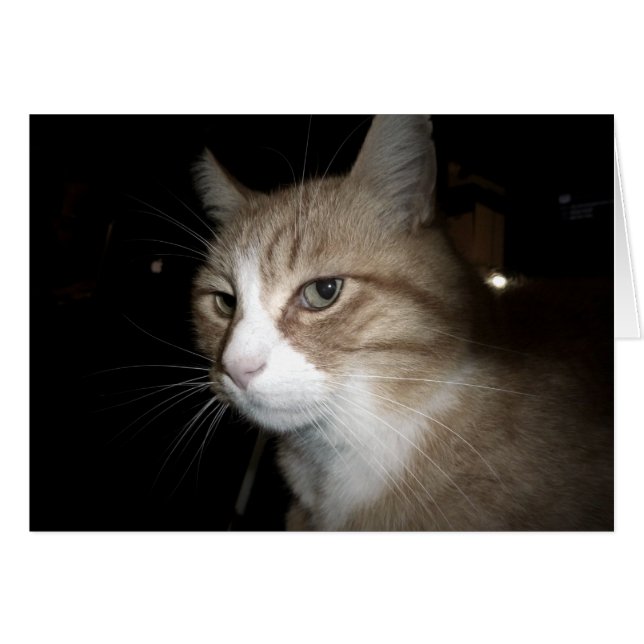 Cartão O que ele está pensando? (Frente Horizontal)