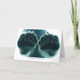 Cartão O que eles viram abaixo do gelo