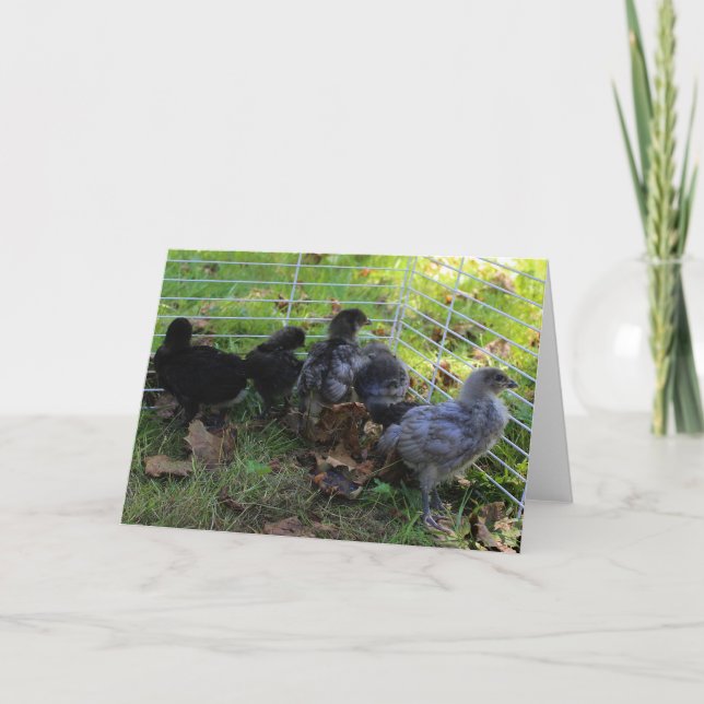 Cartão O que está acima - bumbum da galinha (Frente)