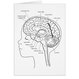 Cartão O que está em seu cérebro