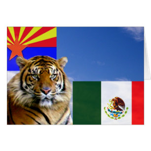 Cartão O que há de errado_