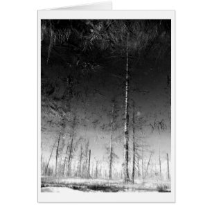 Cartão O que permanece