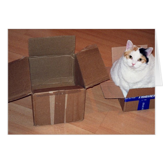 Cartão O que quer dizer que preciso de um tamanho maior? (Frente Horizontal)