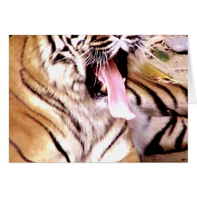 Cartão O que se passa? (Frente Horizontal)