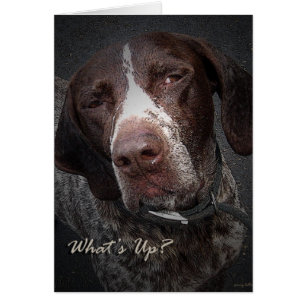 Cartão O que se passa?