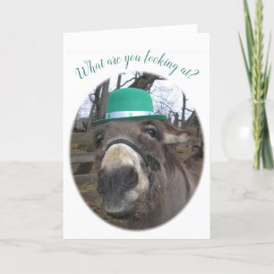 Cartão "O que você está olhando?"