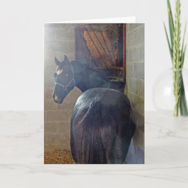 Cartão O que você quer? (Frente)