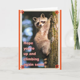 Cartão O Raccoon fica bem.