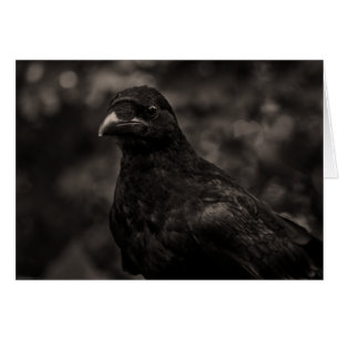 Cartão O Requerente