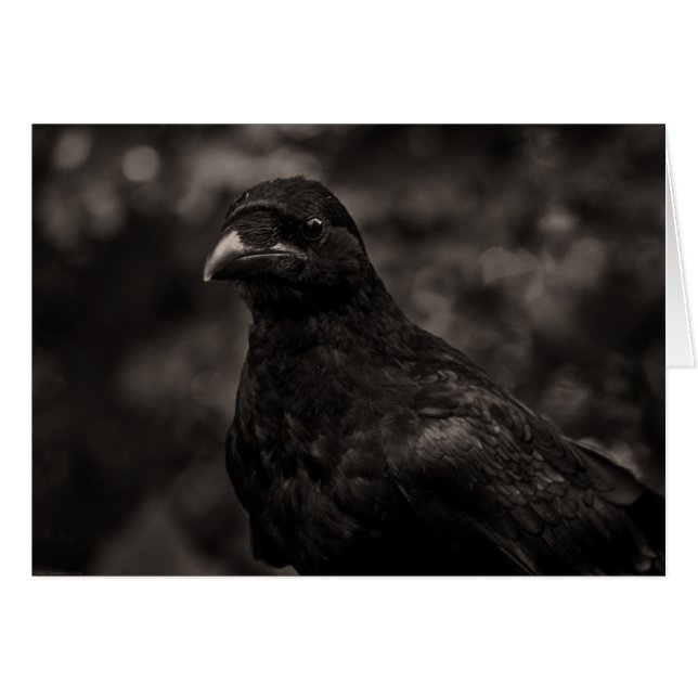 Cartão O Requerente (Frente horizontal)