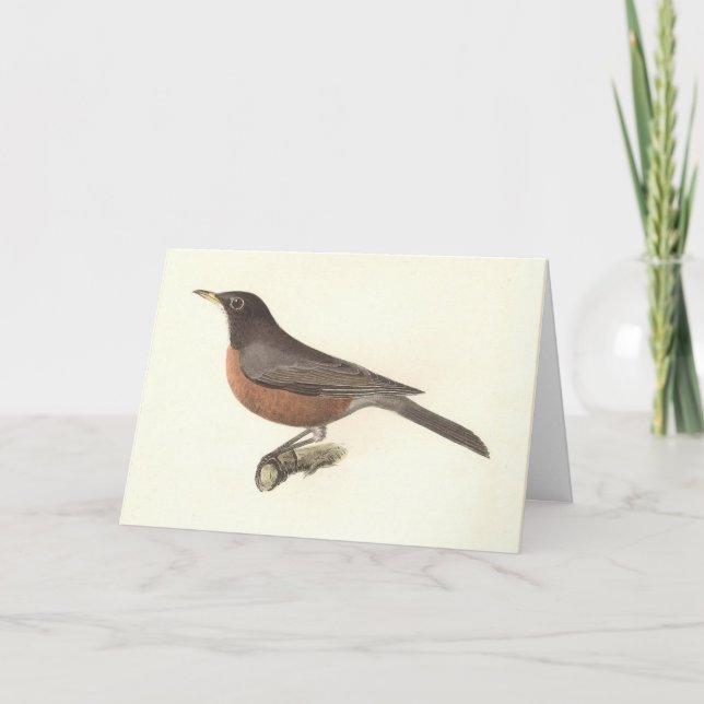 Cartão O Robin Americano (Turdus migratorius) NY Birds (Frente)