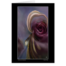 O Rosa e a placa de endereço de ouvido