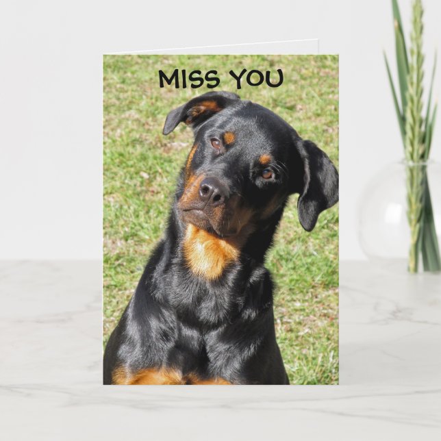 Cartão O Rottweiler Vai Ficar Bem Logo (Frente)