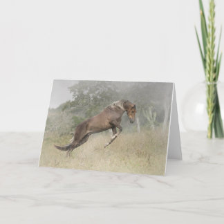 Cartão O salto do cavalo