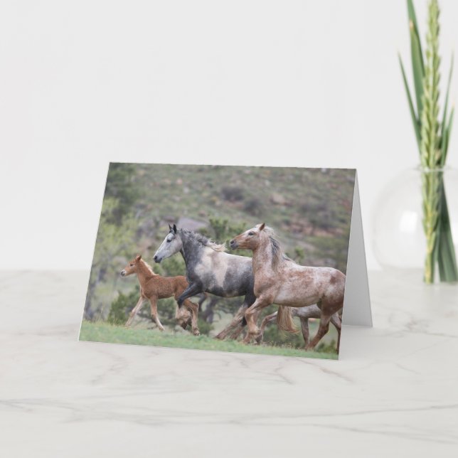 Cartão O segundo passo da liberdade: Galloping para a sau (Frente)