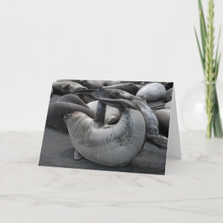 Cartão O selo da sereia