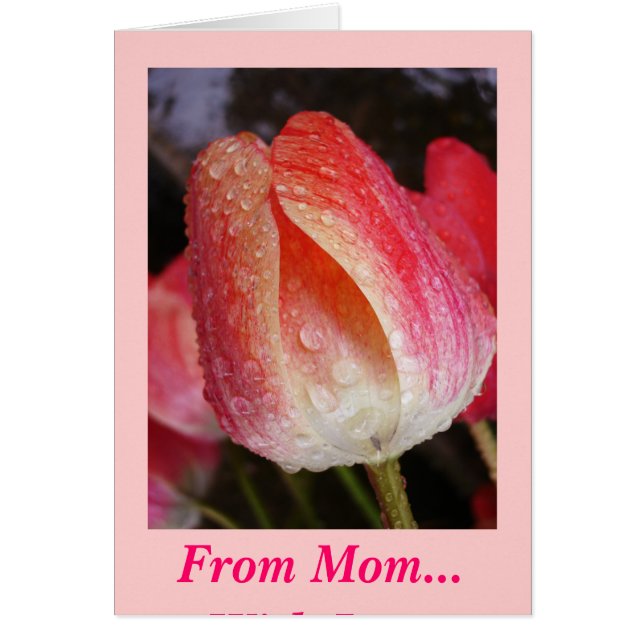 Cartão O Sol Sai, Da Mãe... Com Amor (Frente)