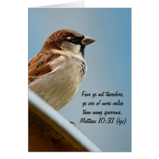 Cartão O Sparrow