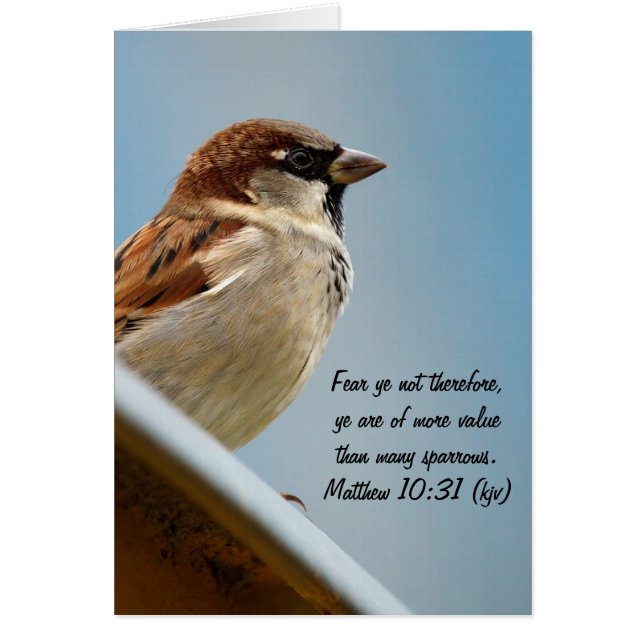 Cartão O Sparrow (Frente)