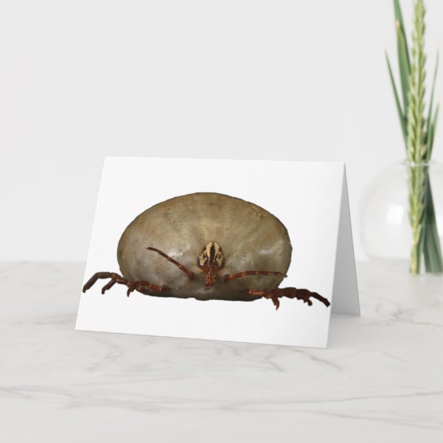 Cartão O tiquetaque (Frente)