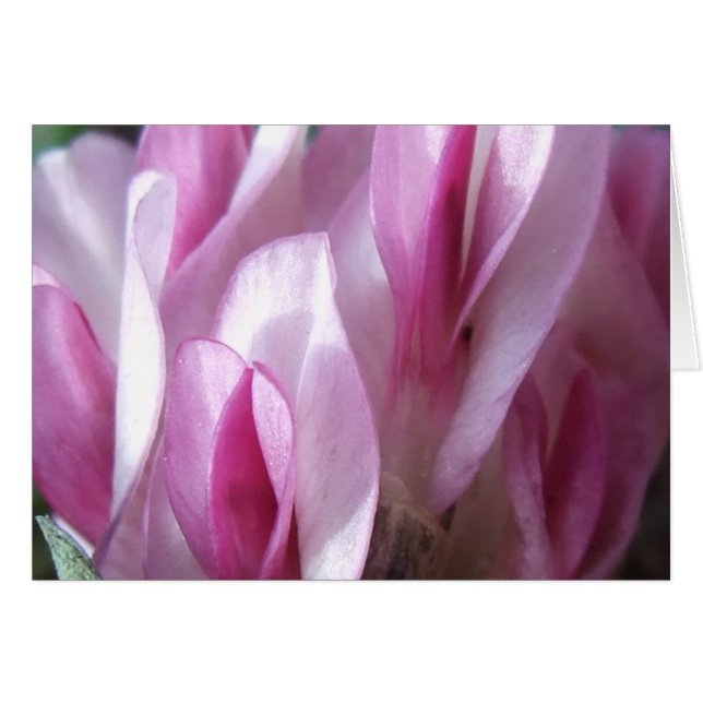 Cartão O trevo do desvio (Frente horizontal)