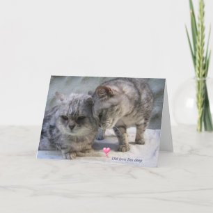 Cartão o velho amor está profundamente enraizado... o car