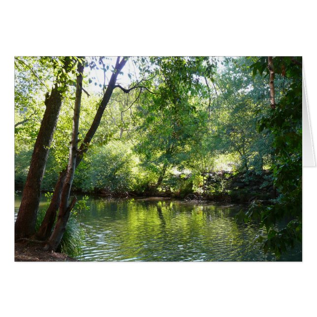 Cartão Oak Creek I em Fotografia da Sedona Arizona Nature (Frente Horizontal)