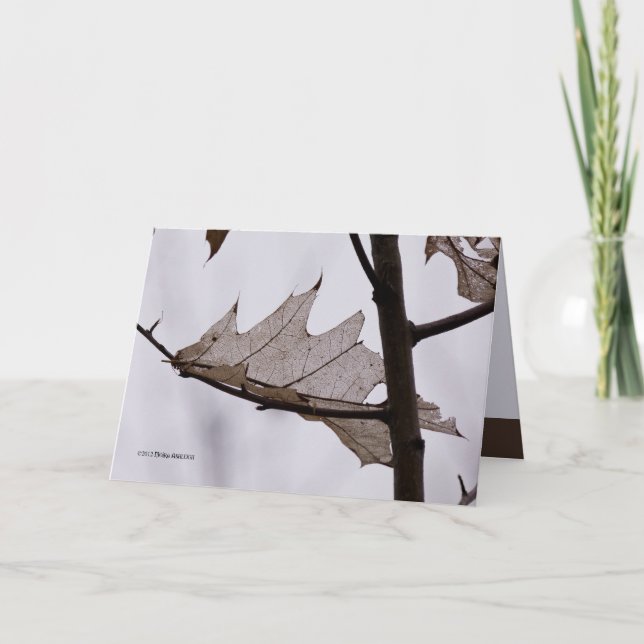 Cartão Oak Ghost Leaf (Frente)