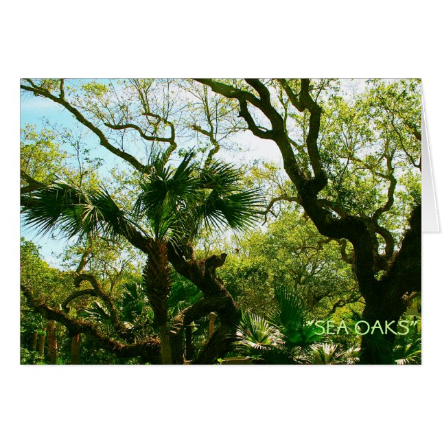 Cartão Oaques do mar (Frente horizontal)