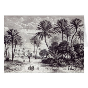 Cartão Oásis de Gafsa: Tunes