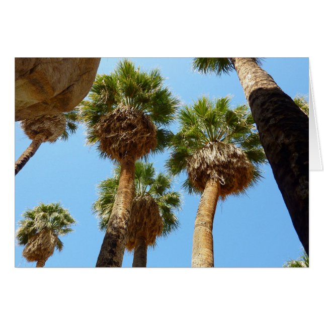 Cartão Oásis Palms no Parque Nacional Joshua Tree (Frente Horizontal)