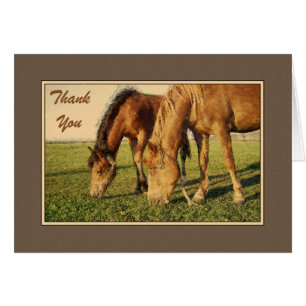 Cartão Obrigado Cavalos Pintados
