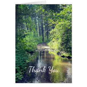 Cartão Obrigado, Forest Lake Wilderness Cena Pacífica