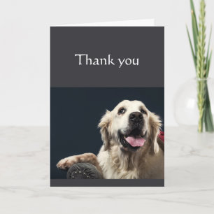 Cartão Obrigados não poderiam ter feito sem você.