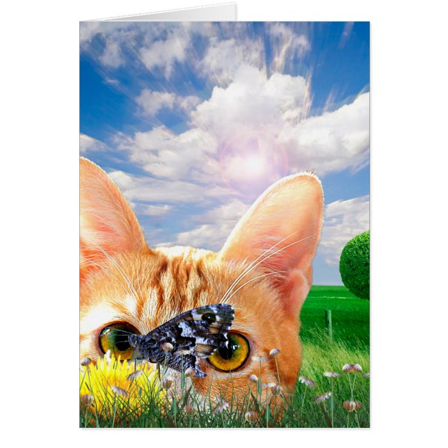 Cartão Observador de Borboletas (Frente)