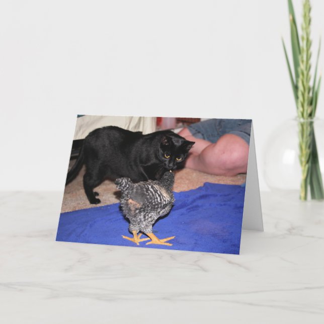 Cartão Observadores (Frente)