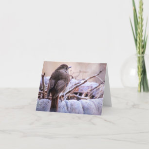 Cartão Observando a placa de observação do Raindrops