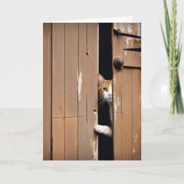 Cartão Obtendo Gato de Celeiro de Aniversário Antigo