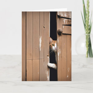 Cartão Obtendo Gato de Celeiro de Aniversário Antigo