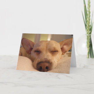 CARTÃO OBTENHA BEM LOGO